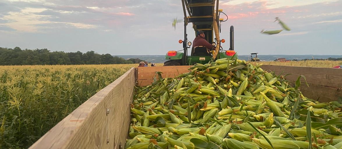 turek farms header