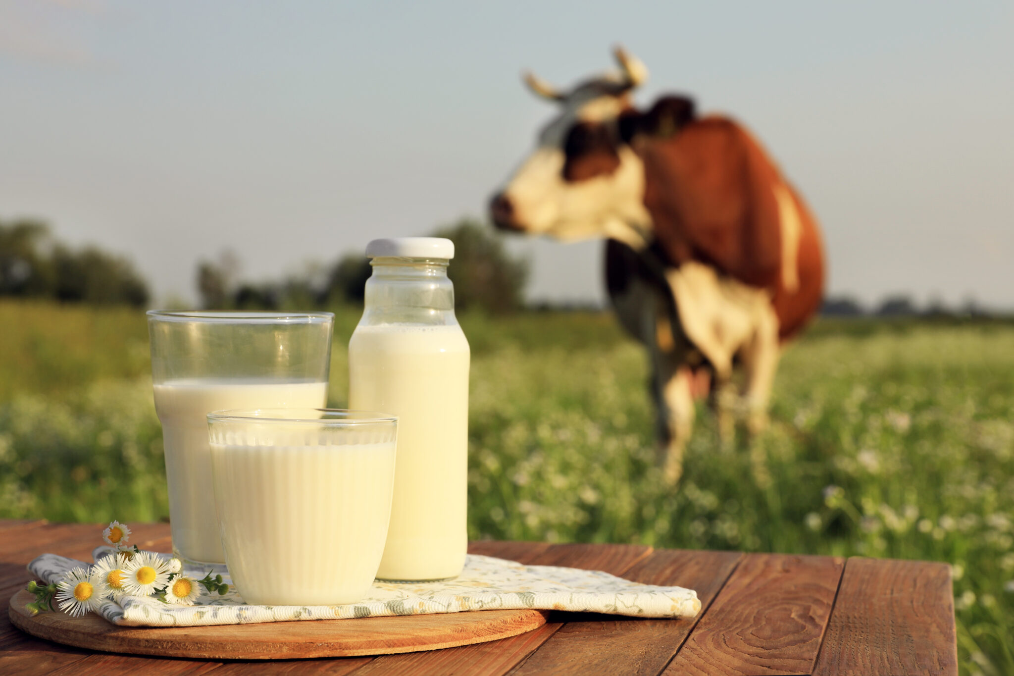 Celebrating National Milk Day: Cheers to the Ultimate Kitchen Staple ...